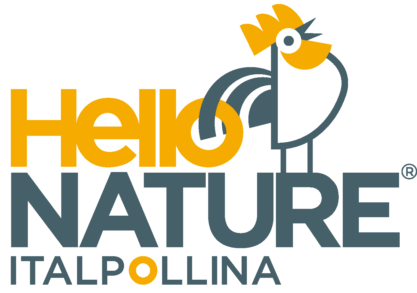 Hello Nature